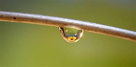 √ 10 easily observable examples of refraction of light in daily life ...