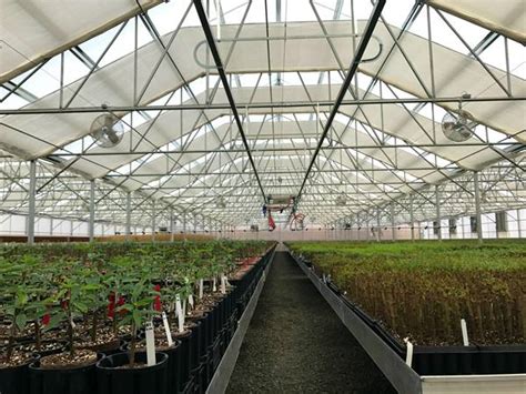 Image result for Insect Garden Screen