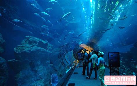 2023吉隆坡城中城水族馆游玩攻略,值️一看，比国内一些水族馆... 【去哪儿攻略】
