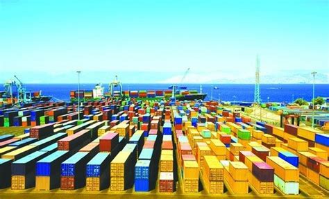 “六最”打造营商新环境！南阳外贸进出口值167.3亿元，居全省第四