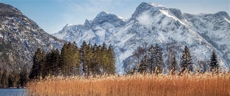 Download wallpaper 2560x1080 river, reeds, grass, mountains, landscape ...