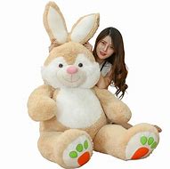 Image result for Stuffed Rabbit