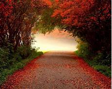 Fall Backgrounds by Free Fall Backgrounds Desktop Wallpaper Cave Fall Backgrounds