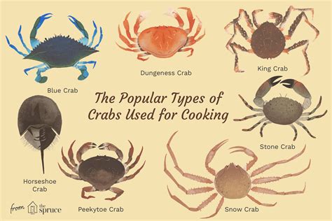 Demystifying Crab Colors: A Guide to the Diverse Palette of Crustaceans