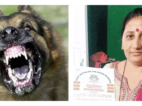 Shimla Woman Saves The Life Of A Soldier Fellow Jawans Left For Dead