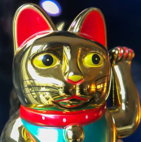 Assignment 2021 的图像结果