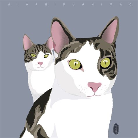100只猫|插画|创作习作|桌几茶几 - 原创作品 - 站酷 (ZCOOL)