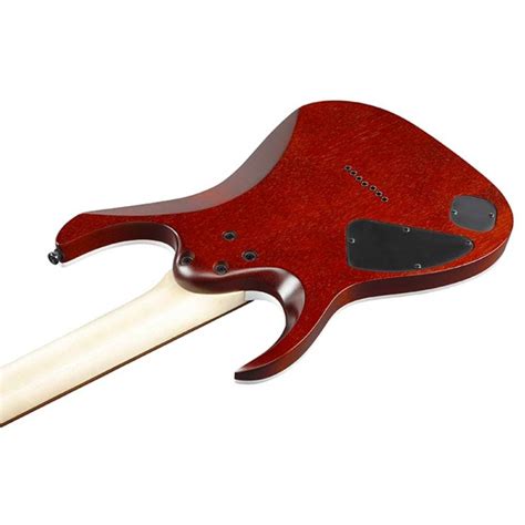 Buy Ibanez RGA742FM RGA Standard 7 String Electric Guitar Online | Bajaao