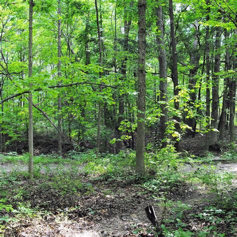 DELAWARE STATE PARK (2025) All You Need to Know BEFORE You Go (with ...