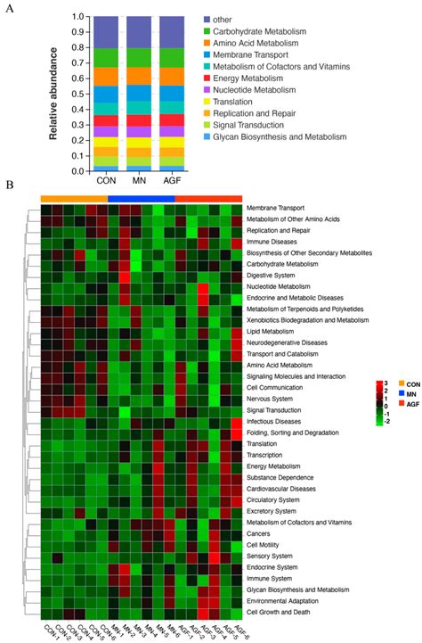 Exploring the Impact of Ampelopsis Grossedentata Flavonoids on Growth ...