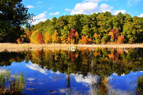 Best Campgrounds To See 2024 Total Solar Eclipse