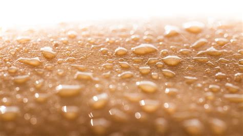 Diagnostik und Management der genitalen Candidiasis - Dermatologie ...