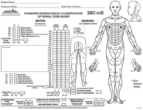 Safety and potential efficacy of expanded mesenchymal stromal cells of ...