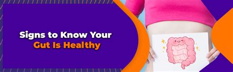 How gut health impacts immunity - Best foods for gut health