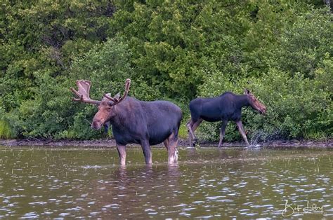 Greenville, Maine/Moosehead Lake Region | Bob Libby PhotographyBob ...