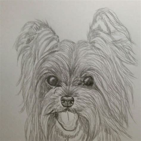 Image result for Thread Issue Examples