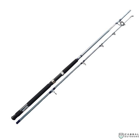 Daiwa Jupiter Safari Spinning Rod | Heavy Action for Fresh & Saltwater ...
