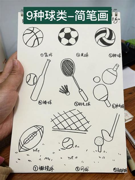 排球简笔画 的图像结果