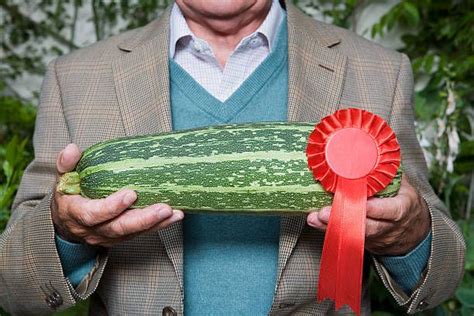 DRAHS 2024 Summer & Fall Flower and Vegetable Show, Deep River Public ...