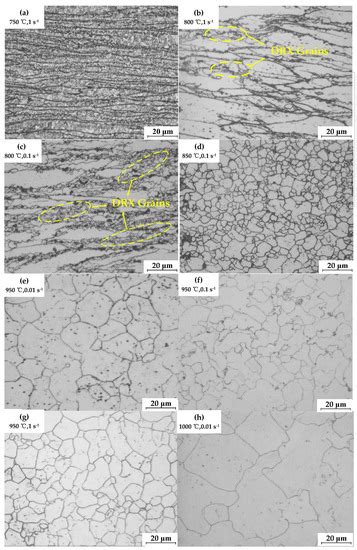 Finite Element Analysis of Dynamic Recrystallization Model and ...