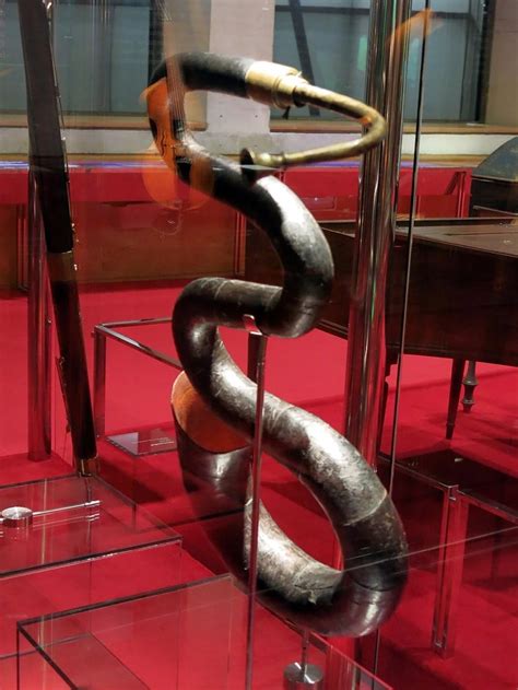 Image result for Serpent Musical Instrument