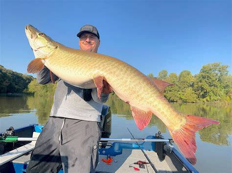 Monster muskellunge a major victory at Leesville: NE Ohio fishing ...