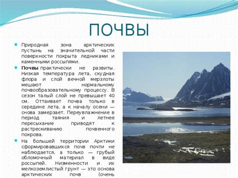Презентация "Арктическая зона"