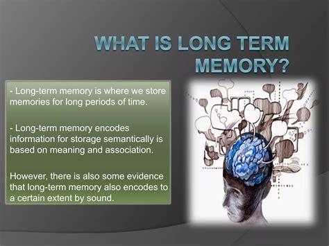 Image result for Long-Term Memory Study