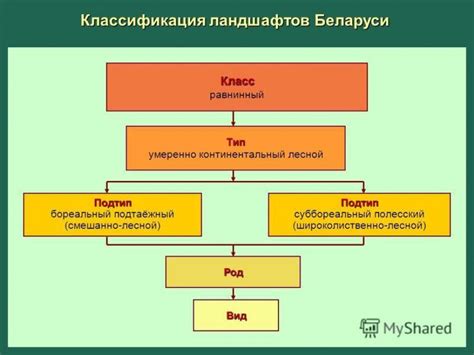 Схема географических ландшафтов