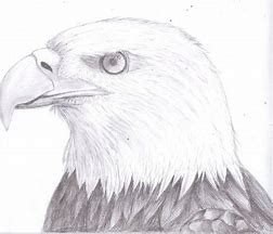 learning to draw in pencil