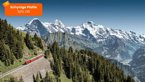 Swiss Half Fare Card - Klook