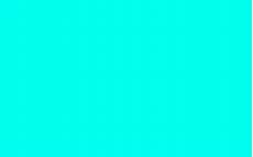 Neon Wallpaper Plain by Solid Neon Colors Wallpaper 66 Images Neon Wallpaper Plain