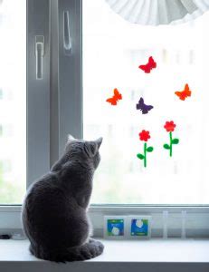 Image result for Window Cling Installation
