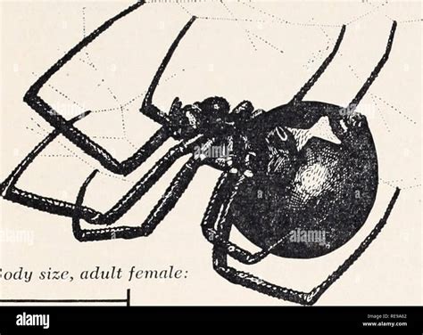 . Control of household insects and related pests. Household pests ...