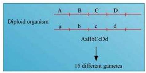 SATHEE: Chapter 5 Principles of Inheritance and variation