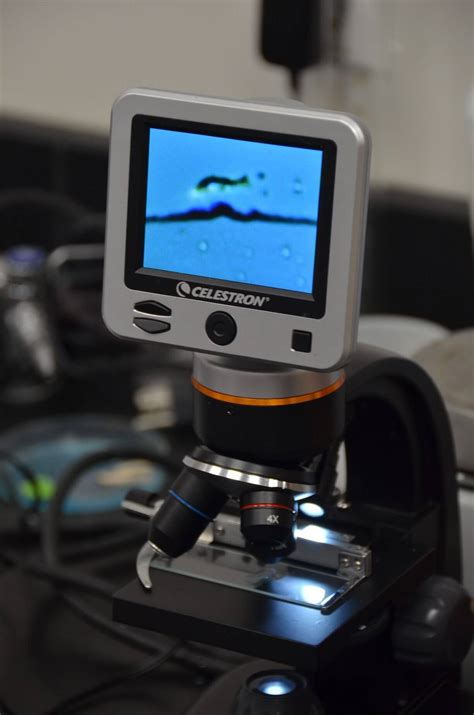 Science Projects 的图像结果