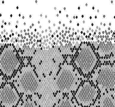 Image result for Python Skin Background