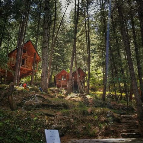Shimla Tree House: Your Shimla,Himachal Pradesh Getaway | CultureTravel.in