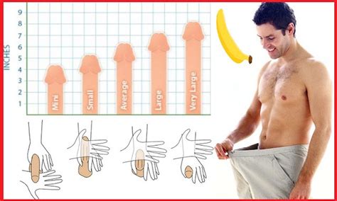 An Introduction to Natural Penis Enlargement - Mens Health Guide
