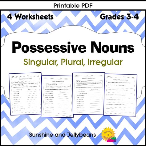 Possessive Nouns - Singular-Plural-Irregular - Grades 3-4 - CCSS | Made ...