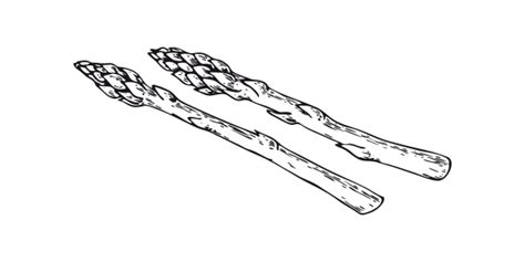 Tinnauer Weingut und Buschenschank | Leben in den Reben | Jause, Wein ...