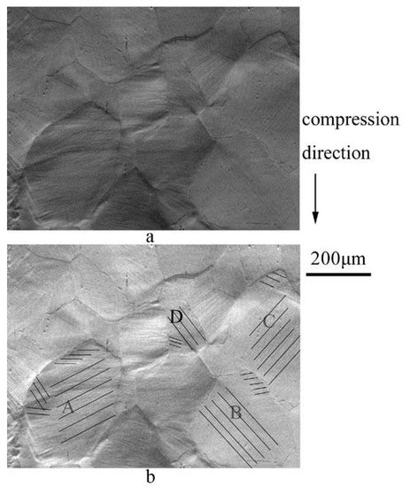 Study on Texture and Grain Orientation Evolution in Cold-Rolled BCC ...