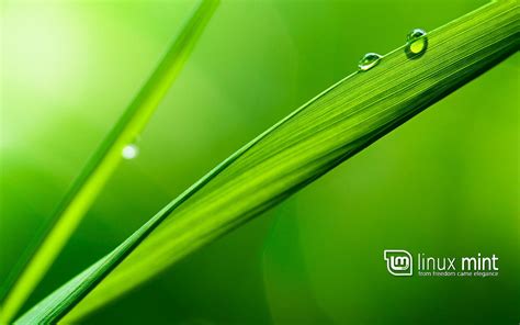 Image result for Linux Mint CPU Background