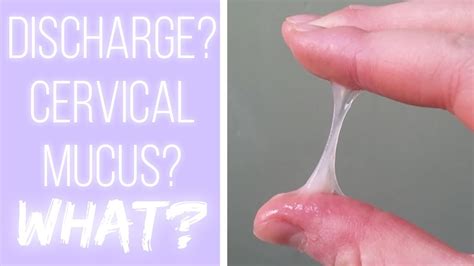 What's Cervical Mucus? The Cervical Mucus Project - YouTube