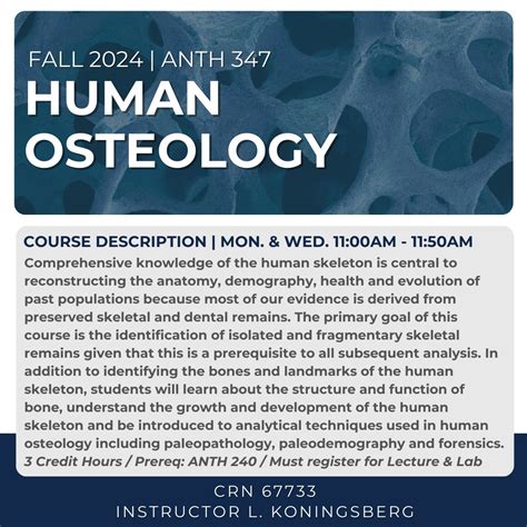 Fall 2024 Courses: Osteology | Department of Anthropology, University of Illinois at Urbana ...