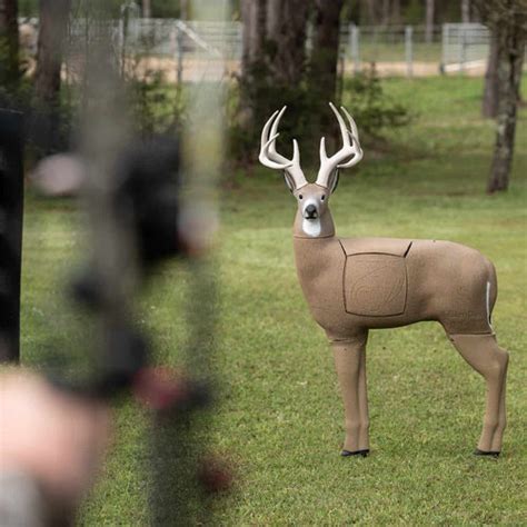 Image result for CBE Target Sight