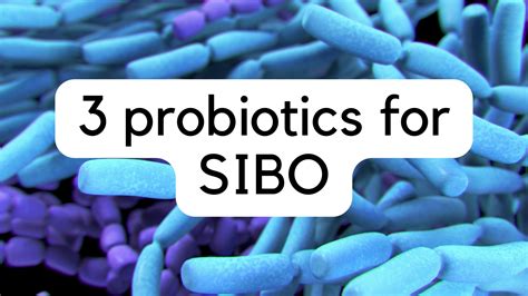 SIBO & Probiotics: Top 3 Strains That Actually Work