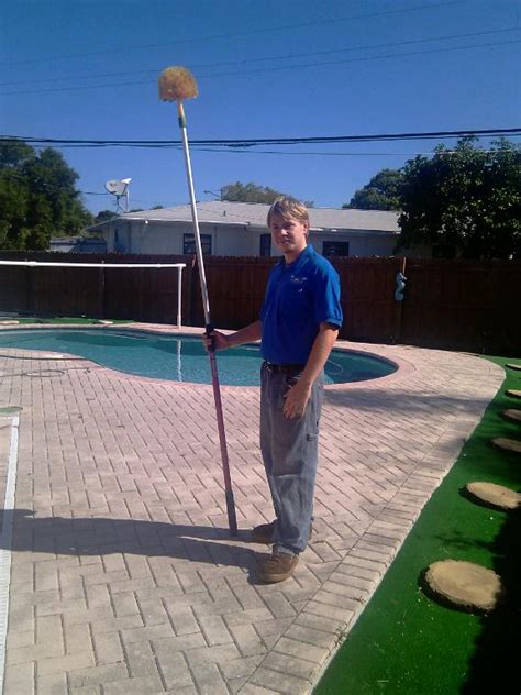 Spider Web Removal 的图像结果