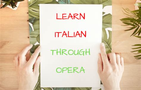 Easy Italian Opera 的图像结果