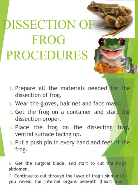 Frog Dissection Tutorial 的图像结果
